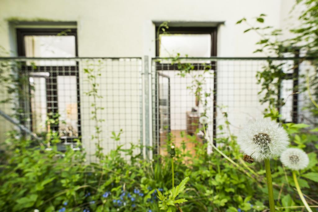 Apartmán Chillout Lounge Satzberg Vídeň Exteriér fotografie